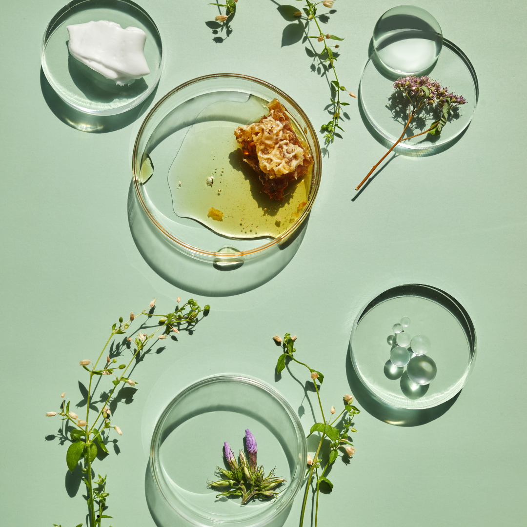 The Importance of Scalp Health and How ANTIDOTE Hair Care Can Help