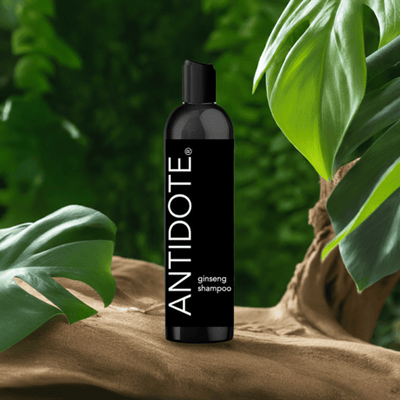 Plant-based ginseng shampoo for strengthening and scalp health