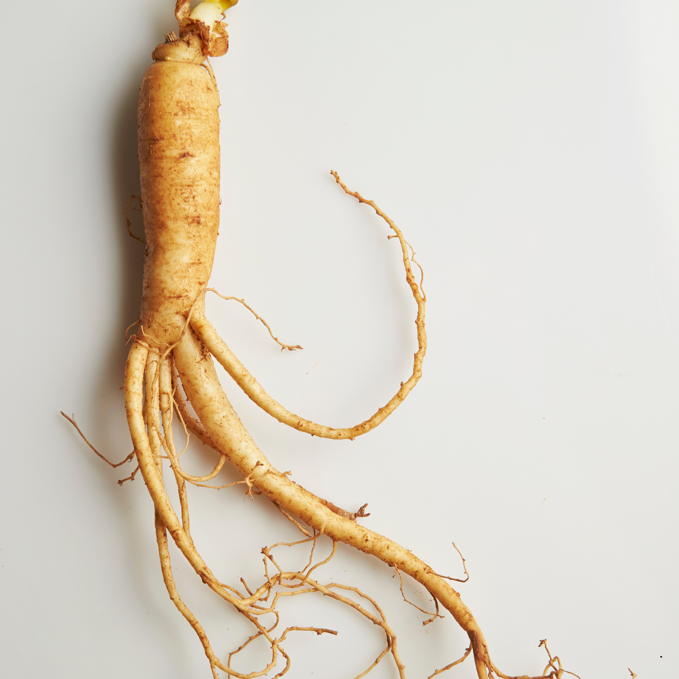 Ginseng for Hair Growth: What the Science Actually Says