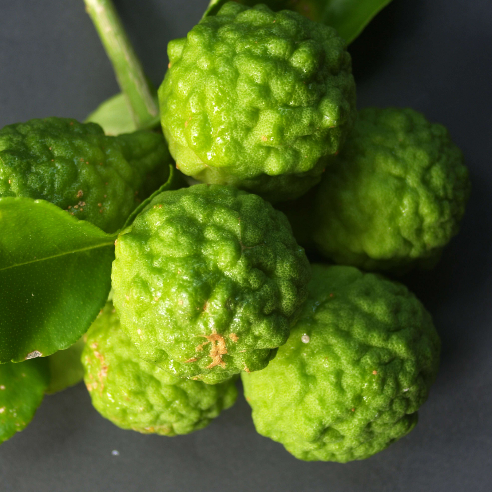 Thinning Hair? Flaky Scalp? Here’s the Healthier Way to Fix Both.