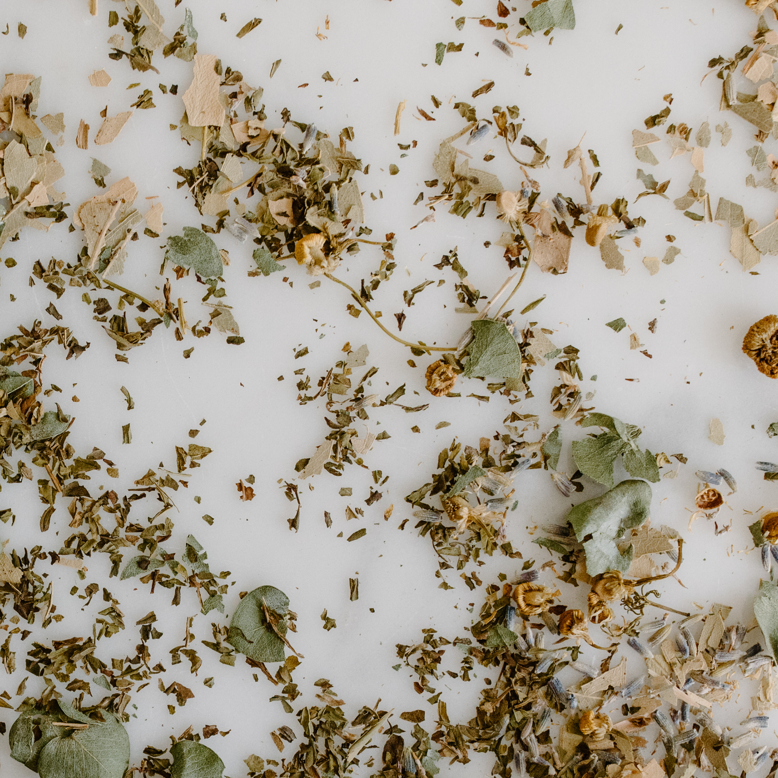 Healthy Hair Starts from Within: What You Feed Your Body Matters—And So Does What You Put On It