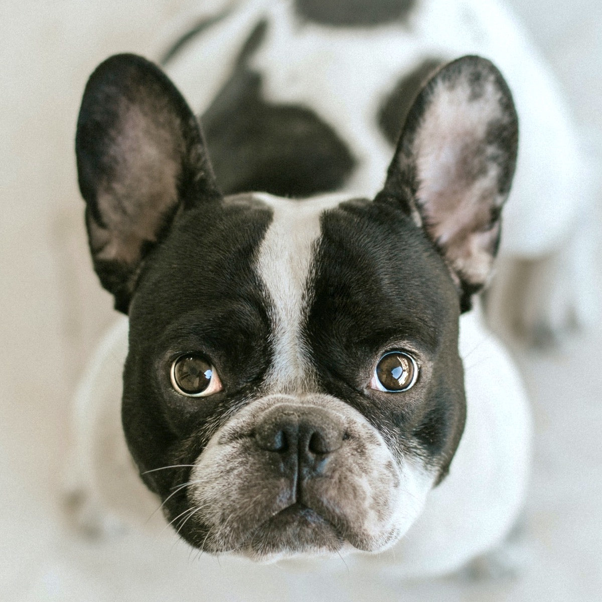 This Father’s Day, Ask + Listen