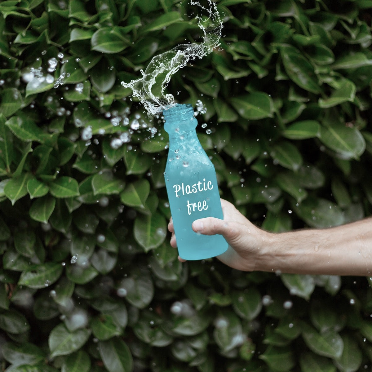 Plastic-free Hair Care?  Are we ready?