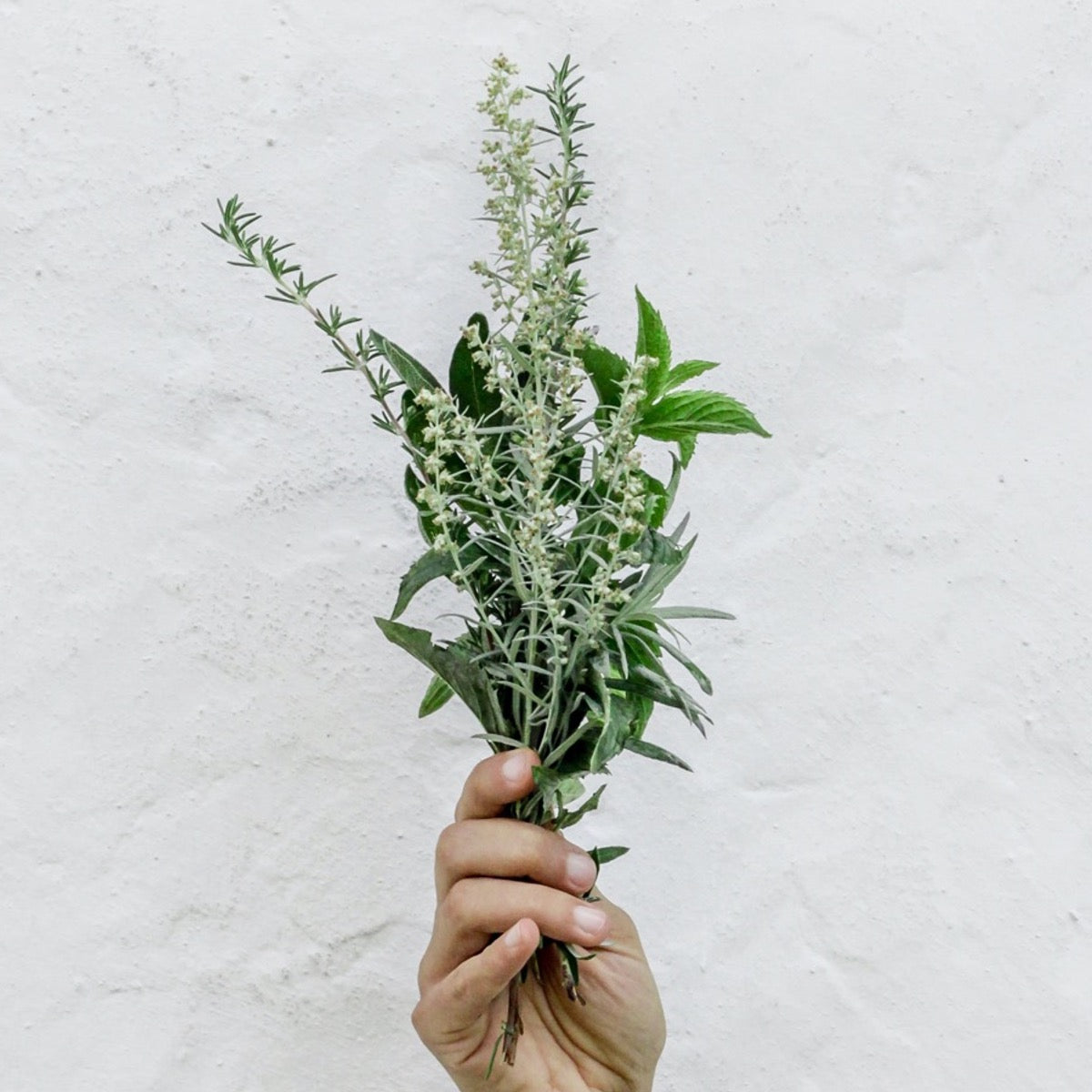 Best oils for healthy scalp and beautiful hair
