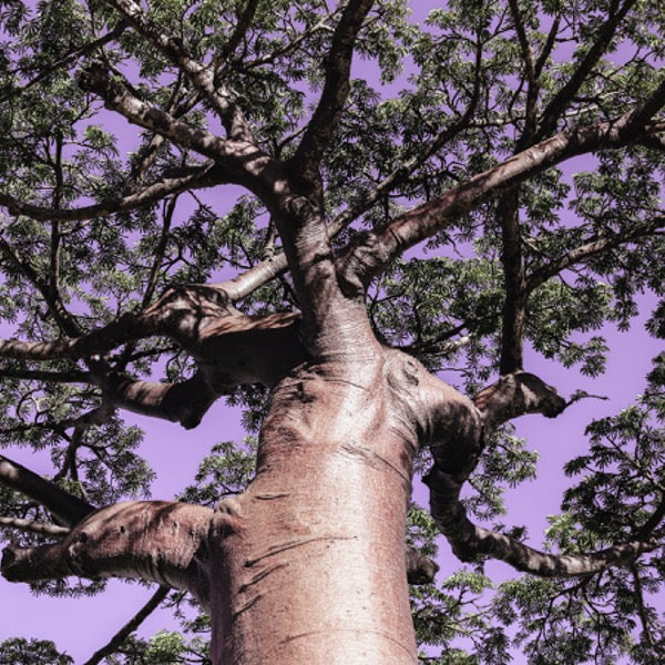 The newest buzzing hair ingredient