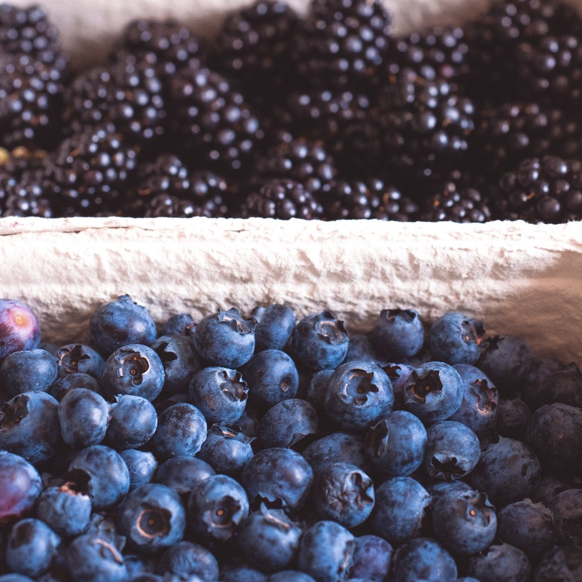 Best foods for healthy hair