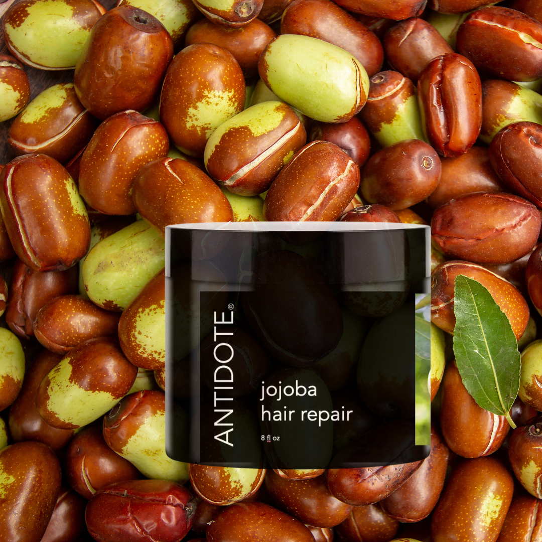 The Rise of Plant-Based Haircare for Healthy Hair