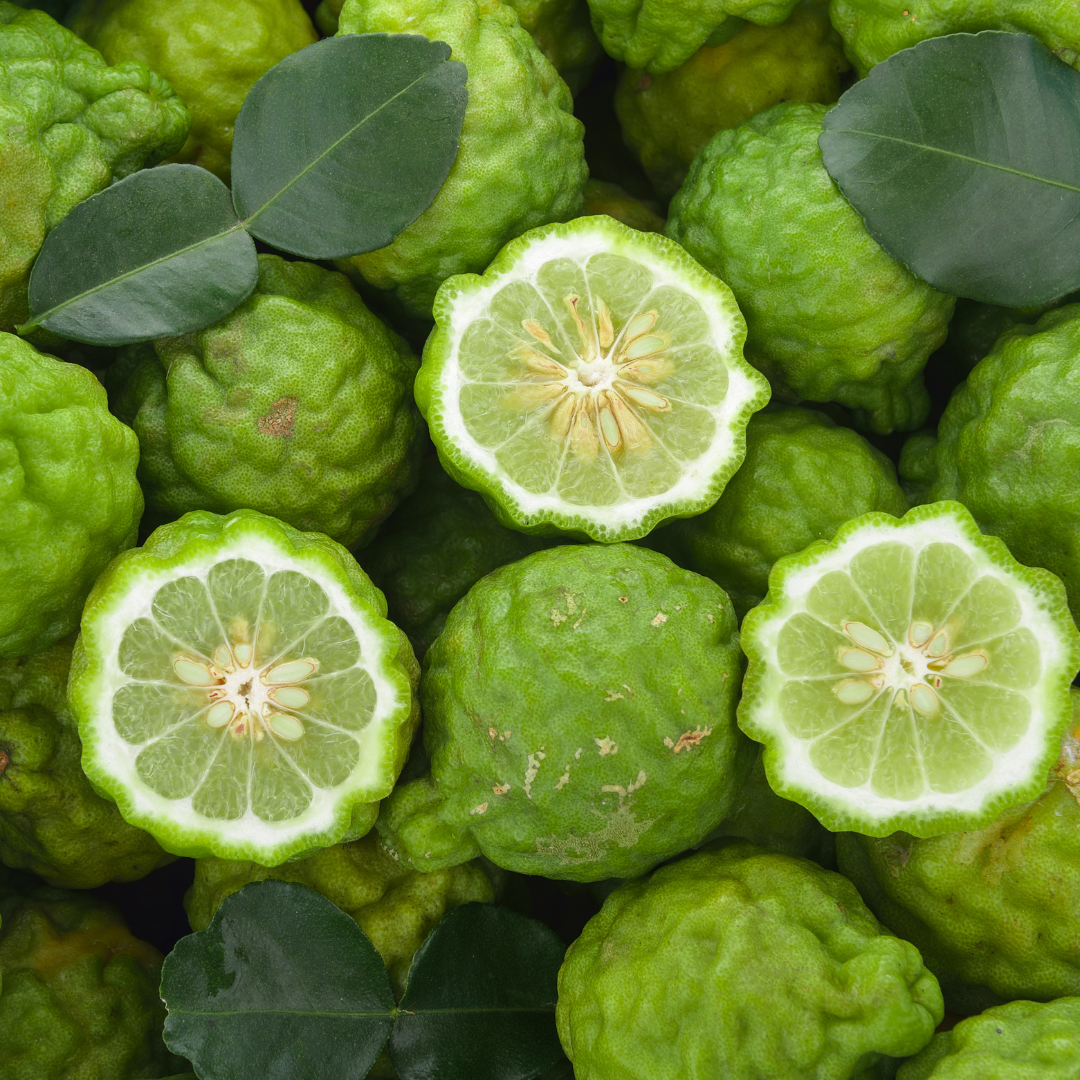 Perfect Summer Hair with Rosehip Root Boost