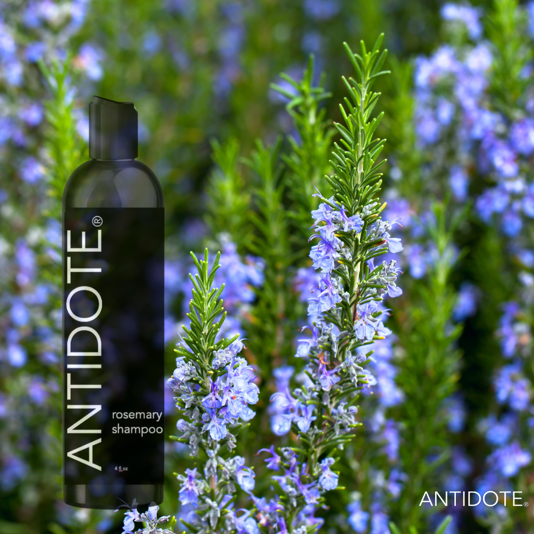 Natural Shampoo for Hair Loss