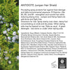 ANTIDOTE Juniper Hair Shield Ingredients B5