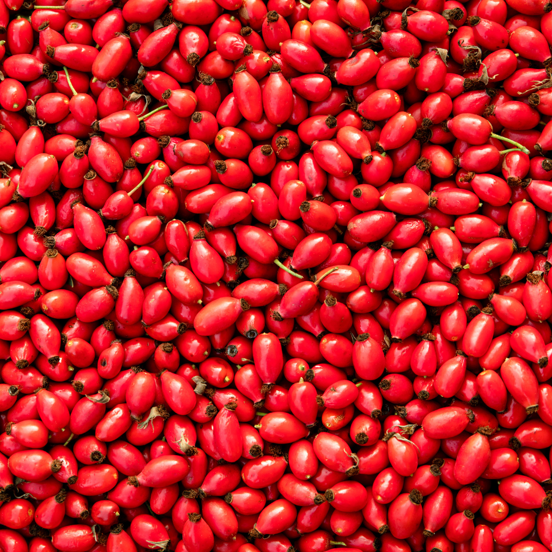 ANTIDOTE Rosehip Hair 