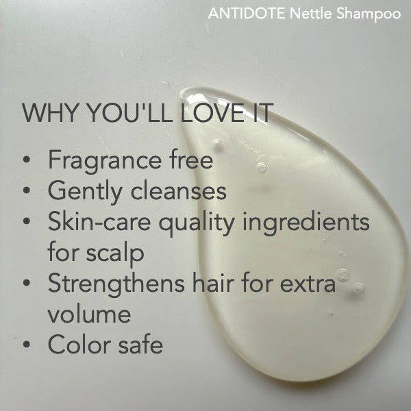 Nettle Shampoo – Unscented Daily Cleanse