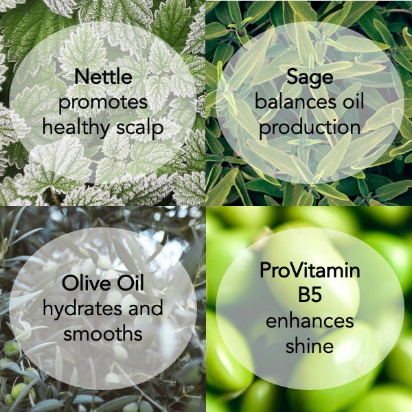 Nettle Shampoo – Unscented Daily Cleanse