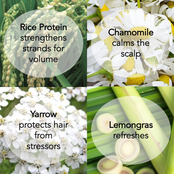 Yarrow + Rice Protein Styler – Flexible Hold Gel