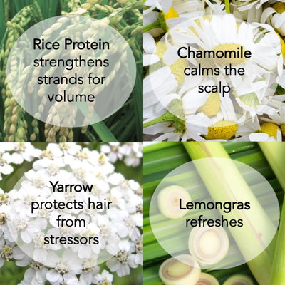 Yarrow + Rice Protein Styler – Flexible Hold Gel