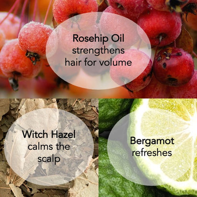 Rosehip Root Boost Volumizing Spray