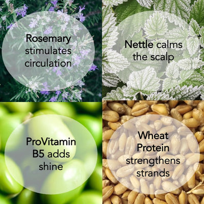 Rosemary Detox Shampoo