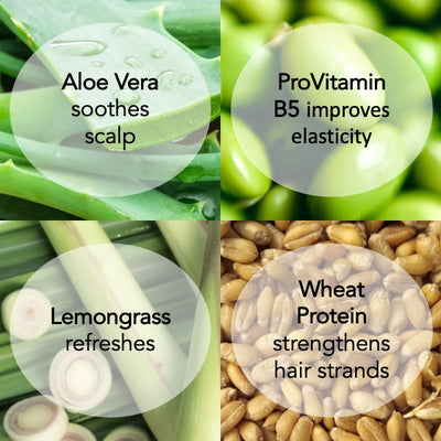 NEW ProVitamin B5 Moisture Conditioner