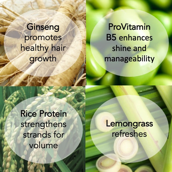 ANTIDOTE HAIR RENEWAL BUNDLE... Spring 2026 batch.