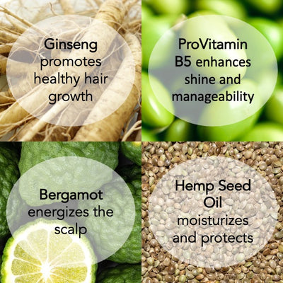 Ginseng Shampoo - Moisture + Strength