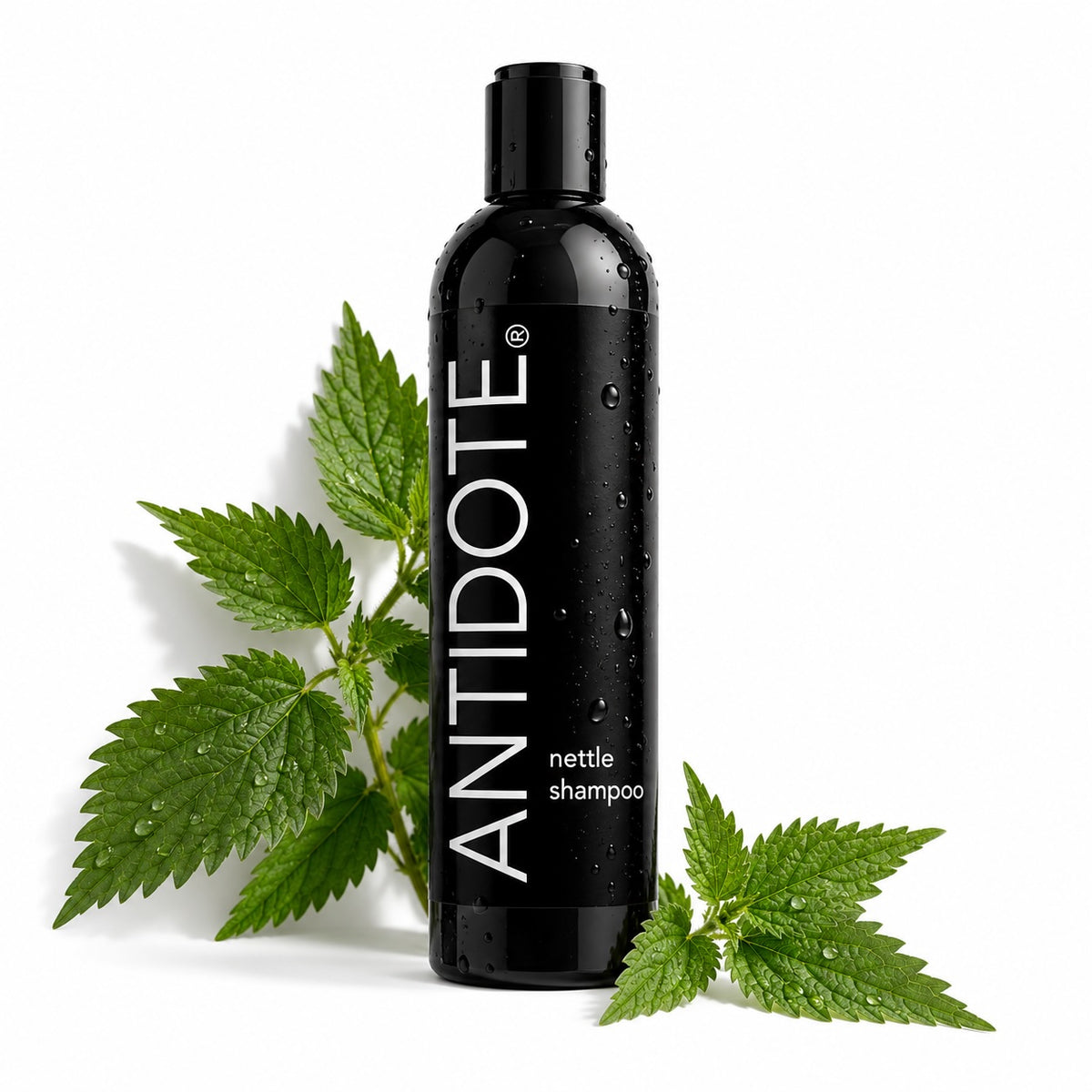 Nettle Shampoo – Unscented Daily Cleanse